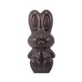 Bunny man
