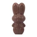 Bunny man