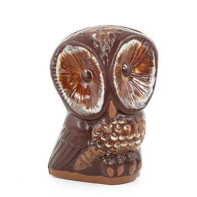 Colorful owl