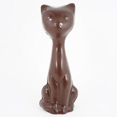 Chat assis