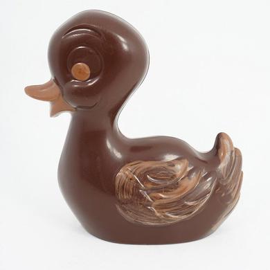 Canard coin-coin